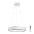 Rabalux - LED dæmpbar loftlampe på kabel LED/38W/230V 3000-6500K hvid + fjernbetjening