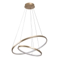 Rabalux - LED-dæmpbar pendel med wireophæng LED/75W/230V 3000-6500K + fjernbetjening