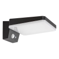 Rabalux - LED dæmpbar solcelle væglampe med sensor LED/4,4W/3,7V IP54 sort 2200 mAh