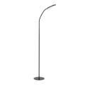 Rabalux - LED Dæmpbar Touch Gulvlampe LED/10W/230V 3000-6000K sort