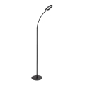 Rabalux - LED Dæmpbar Touch-gulvlampe LED/11W/230V 3000K