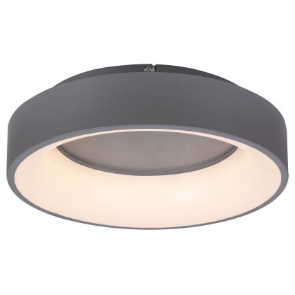 Rabalux - LED loftlampe dæmpbar LED/24W/230V rund 3000-6000K + fjernbetjening