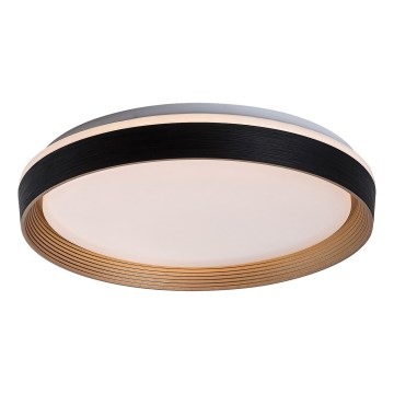 Rabalux - LED loftlampe dæmpbar LED/48W/230V 3000-6500K + fjernbetjening