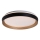 Rabalux - LED loftlampe dæmpbar LED/48W/230V 3000-6500K + fjernbetjening