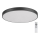 Rabalux - LED loftlampe dæmpbar TESIA LED/60W/230V 60 cm + fjernbetjening