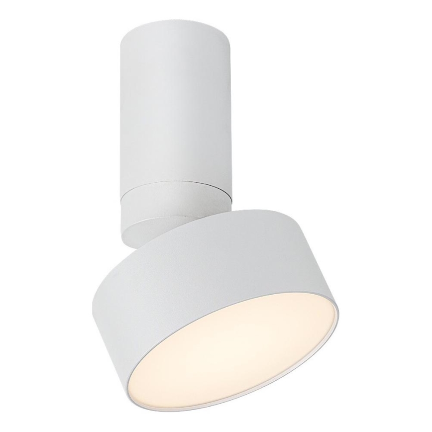 Rabalux - LED loftlampe LED/10W/230V 3000K hvid