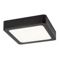 Rabalux - LED loftlampe LED/17W/230V 17x17 cm