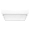 Rabalux - LED loftlampe LED/22W/230V 3000/4000/6000K 21x21 cm hvid
