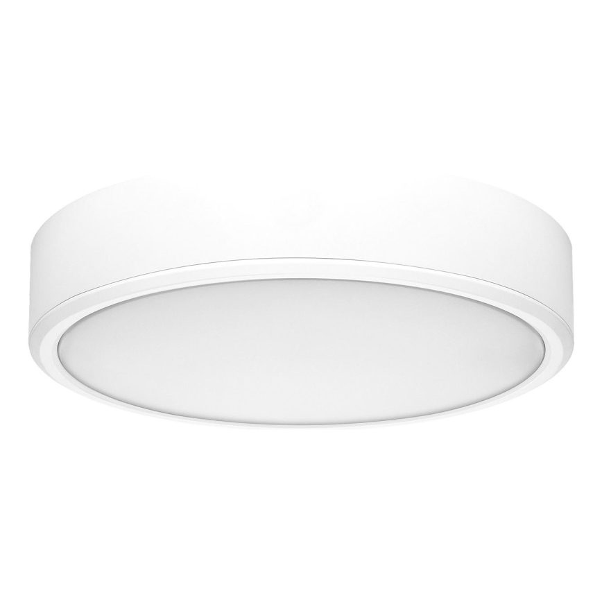 Rabalux - LED loftlampe LED/22W/230V 3000/4000/6000K diameter 21 cm hvid