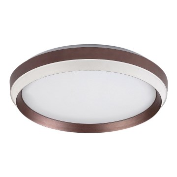Rabalux - LED loftlampe LED/24W/230V 3000K pr. 39 cm