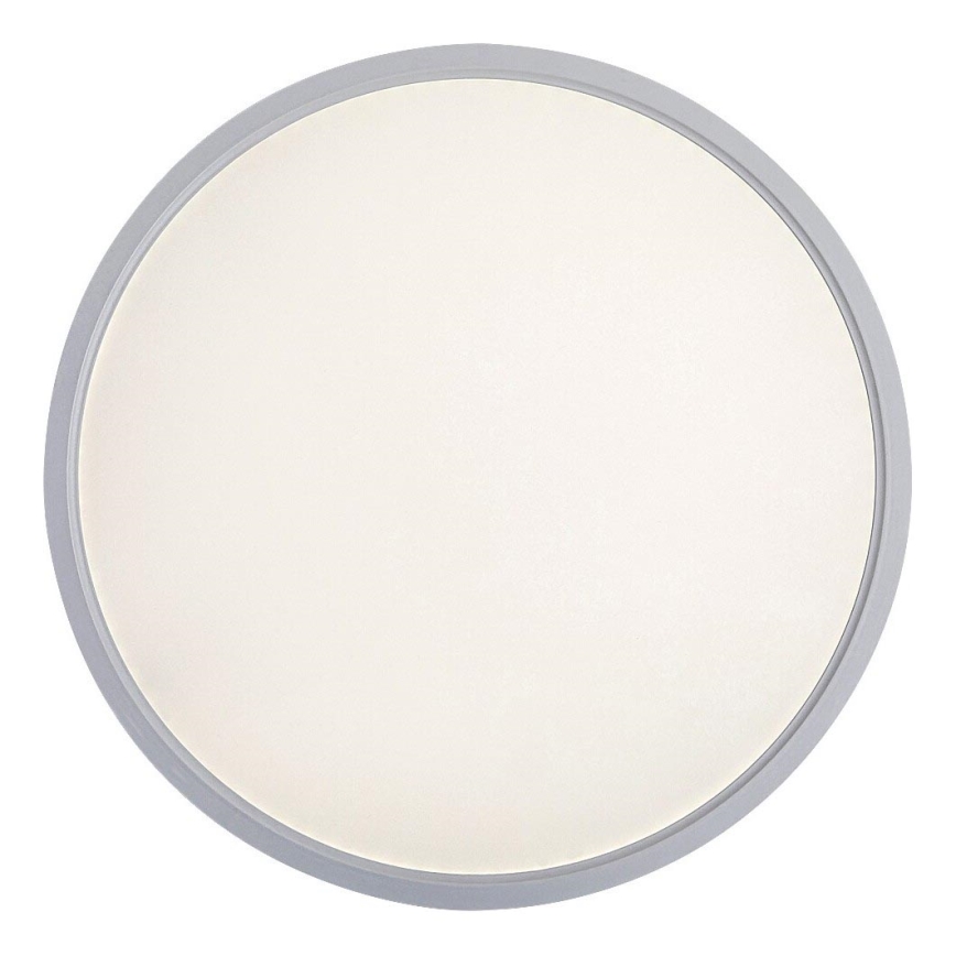 Rabalux - LED loftlampe LED/24W/230V 4000K diameter 30 cm hvid