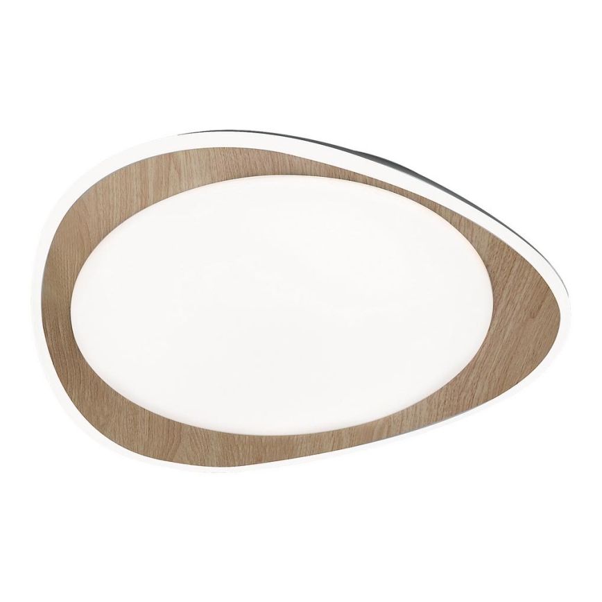 Rabalux - LED loftlampe LED/24W/230V