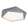 Rabalux - LED loftlampe LED/30W/230V 3000K