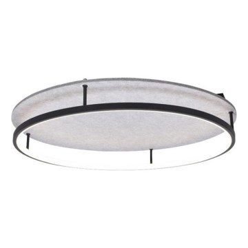 Rabalux - LED loftlampe LED/40W/230V 3000/4000K