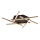 Rabalux - LED loftlampe LED/40W/230V 3000K