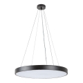 Rabalux - LED loftlampe på kabel LED/36W/230V 3000K sort