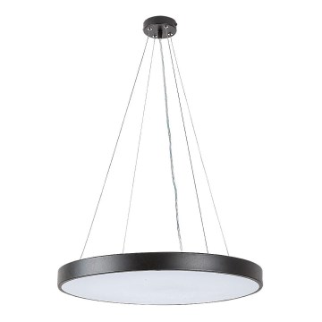Rabalux - LED loftlampe på kabel LED/36W/230V 3000K sort