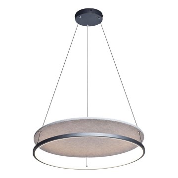 Rabalux - LED loftlampe på kabel LED/40W/230V 3000/4000K