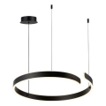 Rabalux - LED loftlampe på kabel LED/45W/230V 3000/4000/6500K