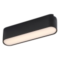 Rabalux - LED loftlampe til 1-faset skinnesystem LED/6W/230V 3000K 11,5 cm sort