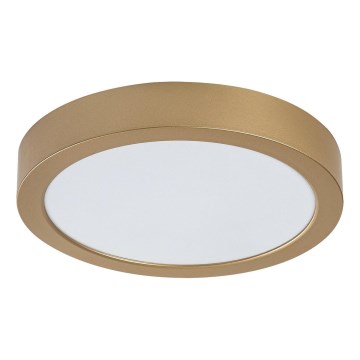 Rabalux - LED loftlampe til badeværelse LED/24W/230V Ø 22 cm IP44 guld