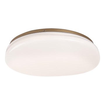 Rabalux - LED loftlampe til badeværelset LED/24W/230V IP44 Ø 41 cm