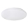 Rabalux - LED loftsbelysning 1xLED/32W/230V