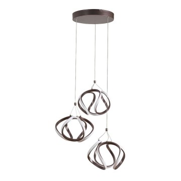 Rabalux - LED lysekrone i en snor LED/50W/230V