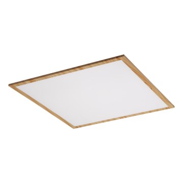 Rabalux - LED panel LED/40W/230V 4000K