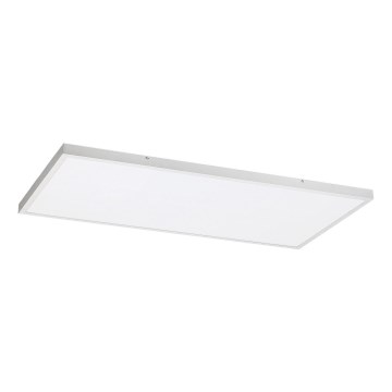 Rabalux - LED panel LED/80W/230V 4000K 120x60 cm