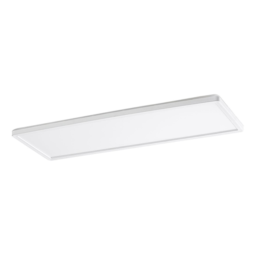 Rabalux - LED panel overflademonteret LED/22W/230V