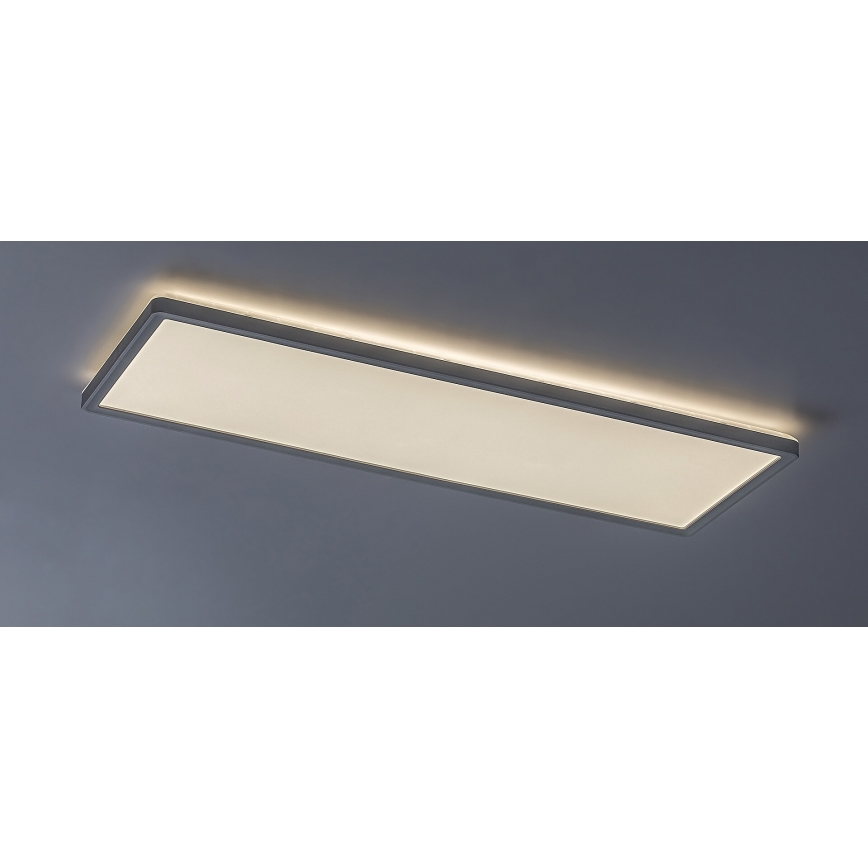 Rabalux - LED panel overflademonteret LED/22W/230V