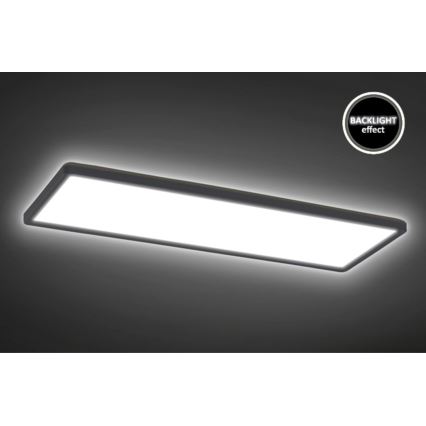 Rabalux - LED panel overflademonteret LED/22W/230V