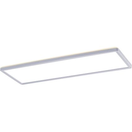 Rabalux - LED panel overflademonteret LED/22W/230V