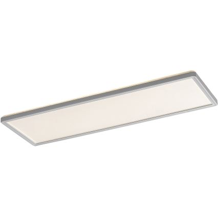 Rabalux - LED panel overflademonteret LED/22W/230V