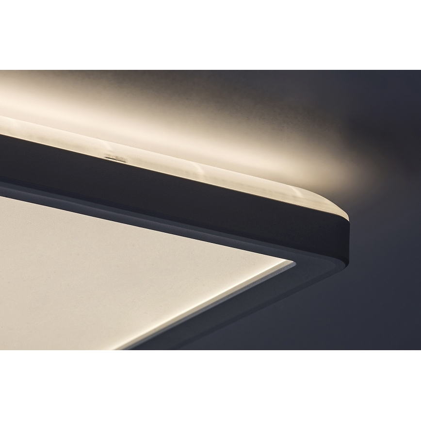 Rabalux - LED panel overflademonteret LED/22W/230V