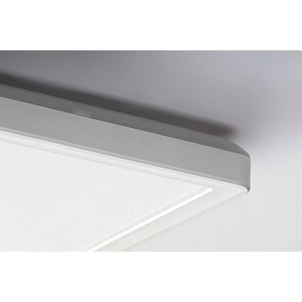 Rabalux - LED panel overflademonteret LED/22W/230V