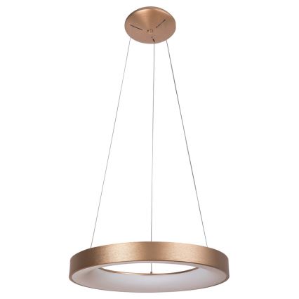 Rabalux - LED pendel CARMELLA LED/80W/230V