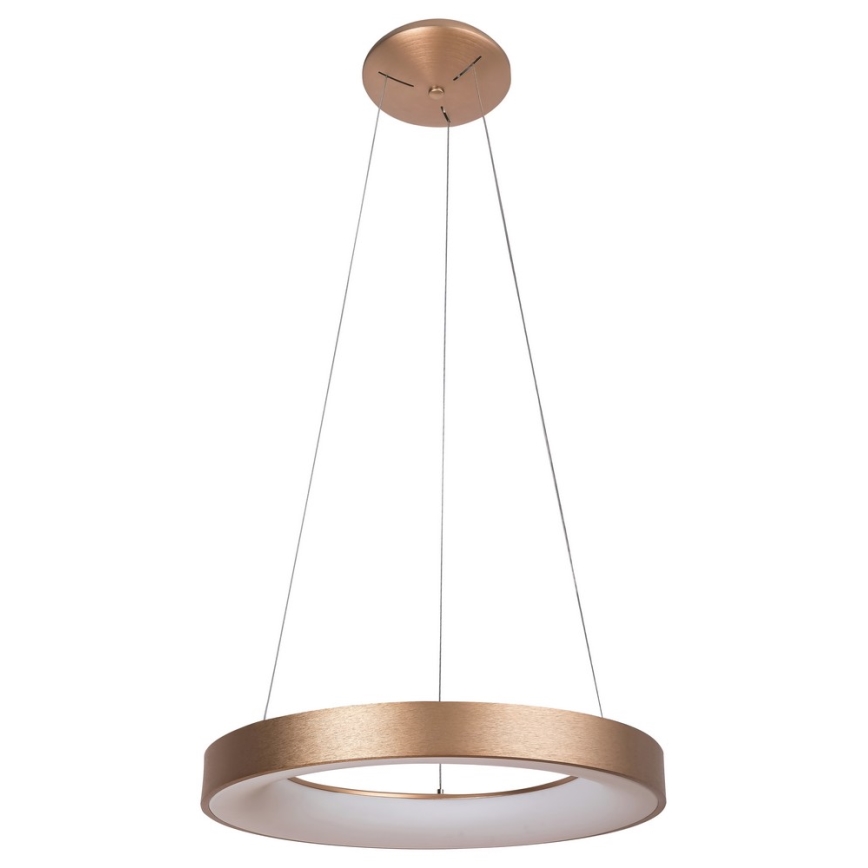 Rabalux - LED pendel CARMELLA LED/80W/230V