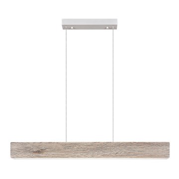 Rabalux  - LED pendel LED/34W/230V