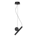 Rabalux - LED pendel LED/3W/230V 3000K