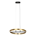 Rabalux - LED pendel LED/42W/230V guldfarvet