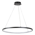 Rabalux - LED pendel med kabel LED/55W/230V 3000K