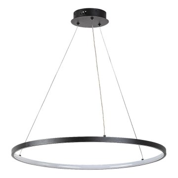 Rabalux - LED pendel med kabel LED/55W/230V 3000K