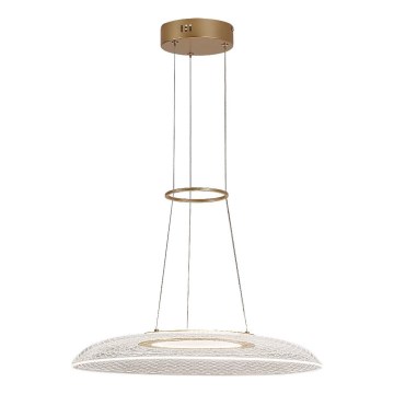Rabalux - LED-pendel med stålwire LED/24W/230V 3000K