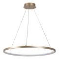 Rabalux - LED-pendel på kabel LED/55W/230V 3000K