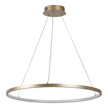 Rabalux - LED-pendel på kabel LED/55W/230V 3000K