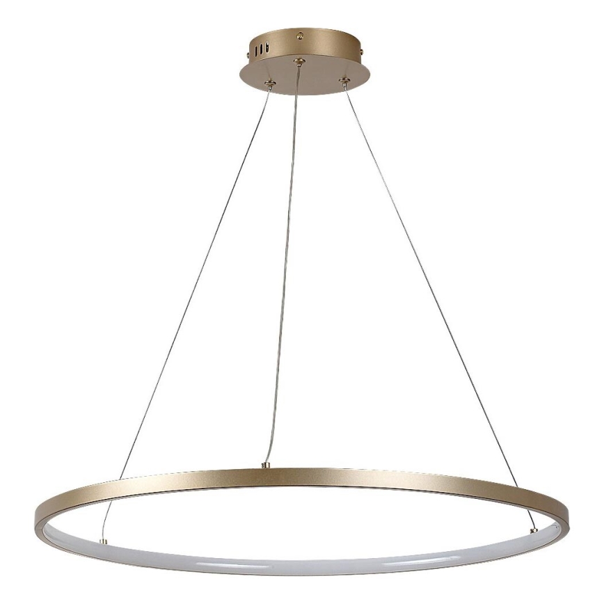 Rabalux - LED-pendel på kabel LED/55W/230V 3000K