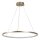 Rabalux - LED-pendel på kabel LED/55W/230V 3000K