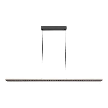 Rabalux - LED-pendel på wire LED/40W/230V 3000K